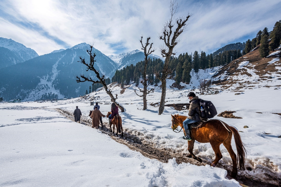 Jammu & Kashmir